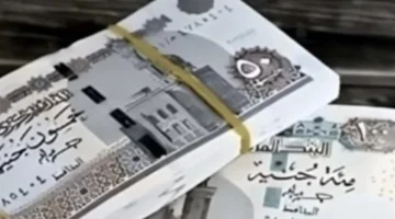 زيادة معاشات يناير 2026 تعزز الحماية الاجتماعية وتحدد مواعيد الصرف والحدود الجديدة 1